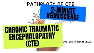 2Minute Neuroscience Chronic Traumatic Encephalopathy CTE [upl. by Eikcid]