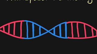 Introduction to Transposons [upl. by Ahsenet]