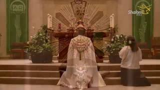 Eucharistic Adoration St Stephen Catholic Church [upl. by Onidranreb]