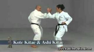 Shoryn Ryu karate Kyudokan Mazato Higa [upl. by Donelu]