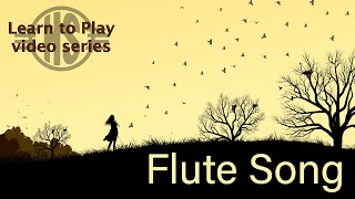 Learn to Play the Flute Song Ojibwe on the Native American Style Flute [upl. by Narahs]