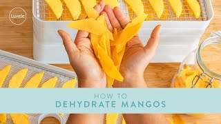 How to Dehydrate Mango  Luvele Breeze Dehydrator [upl. by Kcyrred]