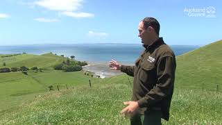 Te Rau Puriri Regional Park – an introduction  Auckland Council [upl. by Mabel568]