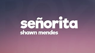 Shawn Mendes Camila Cabello  Señorita Lyrics [upl. by Nangem341]