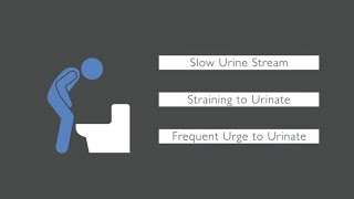 Urinary Tract Infections in Children UTIs [upl. by Lidia]