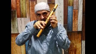 How to Play the Native American Flute in under 10 minutes EASY Lesson 1 [upl. by Aztirak]