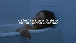 Ayer La Vi  Don Omar Letra [upl. by Isnam]