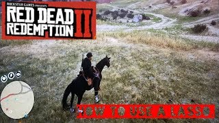 Red Dead Redemption 2  How to use a lasso [upl. by Einnus]