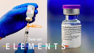 What’s In the Pfizer amp Moderna COVID Vaccines [upl. by Zaller]