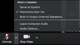 How To Fix Zoom MicrophoneAudio Problems on Windows 10 [upl. by Moyna]