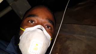 Do It Yourself Mold Remediation [upl. by Christmas540]