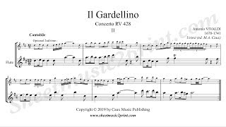 Vivaldi  Il Gardellino RV 428  Cantabile [upl. by Aienahs]