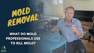 What Do Mold Professionals Use To Kill Mold [upl. by Navy]