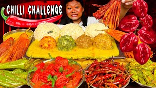 Extremely Spicy Chillies Challenge  Eating Different Types Of Chilly Curry  Spicy Food Mukbang [upl. by Zavala194]