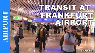 TRANSIT WALK AT FRANKFURT Airport FRA Terminal 1  Connection Flight Transfer Arriving amp Departing [upl. by Ellimahs]