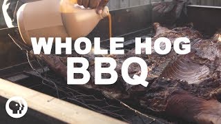 Whole Hog BBQ  South Carolina Style [upl. by Yekcim164]