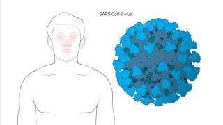 How does Modernas Coronavirus vaccine work [upl. by Nasah]