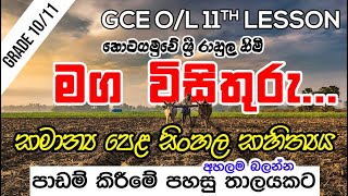 GCE OL Maga Wisithuru Salalihiniya  මග විසිතුරුසැළලිහිණි සංදේශය grade1011 sinhala සිංහලසාහිත්‍ය [upl. by Patrizio]