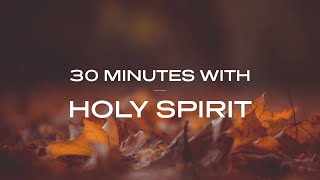 30 Minutes With Holy Spirit Deep Prayer amp Prophetic Worship Music [upl. by Doble]